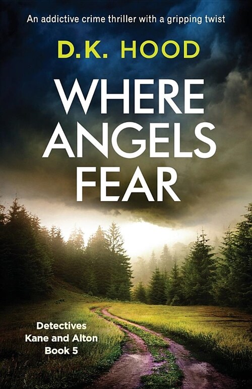 Where Angels Fear : An addictive crime thriller with a gripping twist (Paperback)