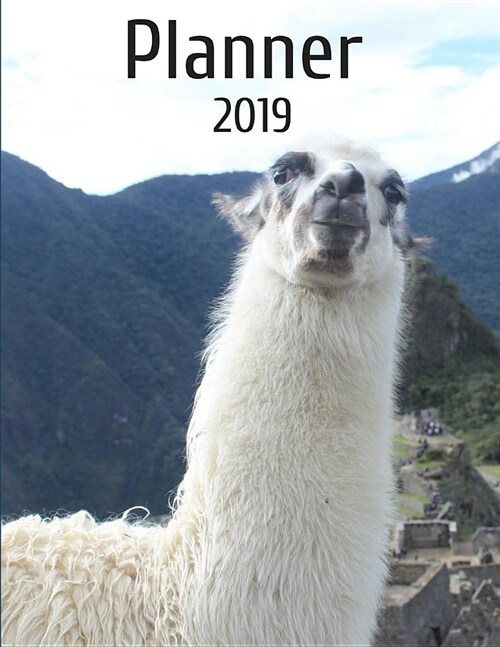 Planner 2019: Llama (Paperback)