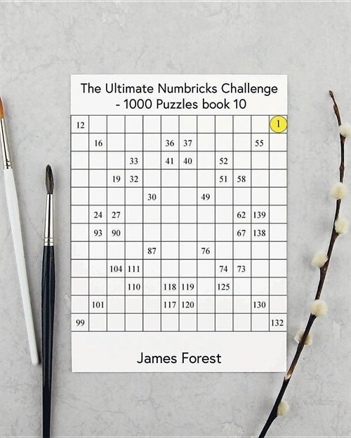 The Ultimate Numbricks Challenge - 1000 Puzzles: Numbricks Puzzle Book for Adults (Paperback)