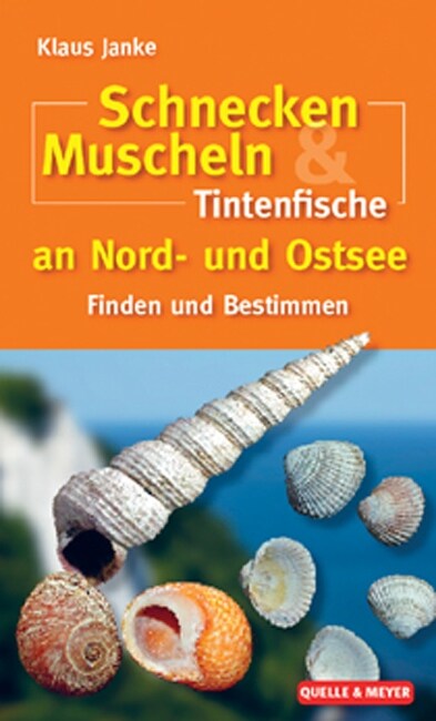 Schnecken, Muscheln & Tintenfische an Nord- und Ostsee (Paperback)