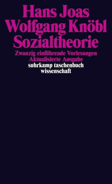 Sozialtheorie (Paperback)