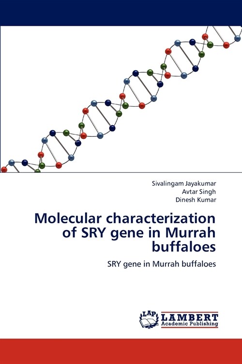 Molecular characterization of SRY gene in Murrah buffaloes (Paperback)