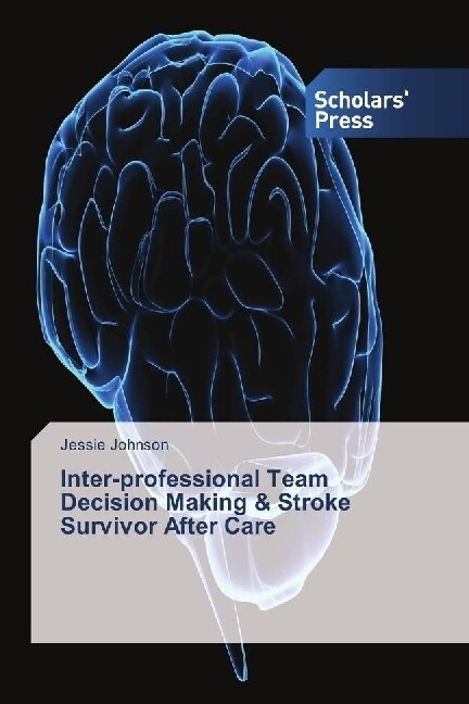 Inter-professional Team Decision Making & Stroke Survivor After Care (Paperback)