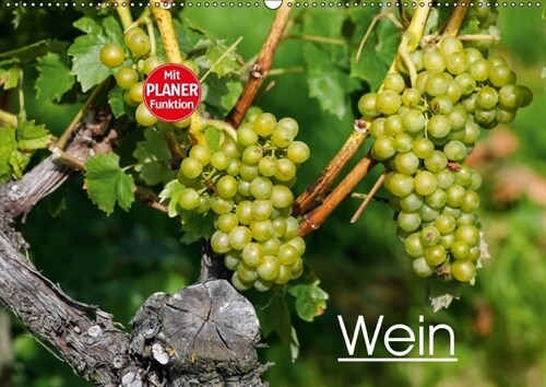 Wein (Wandkalender immerwahrend DIN A2 quer) (Calendar)