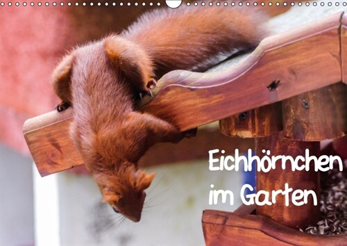 Eichhornchen im Garten (Wandkalender 2018 DIN A3 quer) (Calendar)