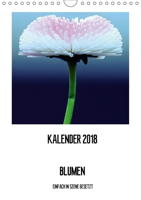 BLUMEN EINFACH IN SZENE GESETZT (Wandkalender 2018 DIN A4 hoch) (Calendar)