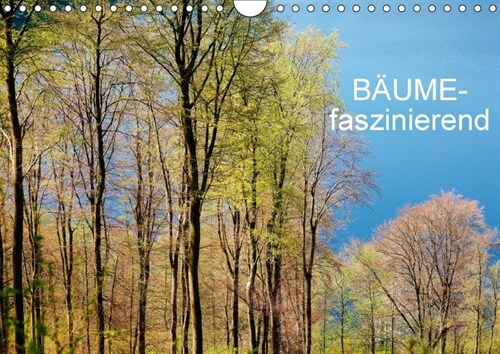 Baume-faszinierend (Wandkalender 2018 DIN A4 quer) (Calendar)