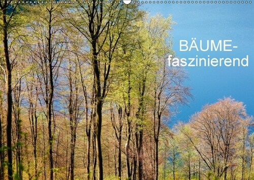 Baume-faszinierend (Wandkalender 2018 DIN A2 quer) (Calendar)