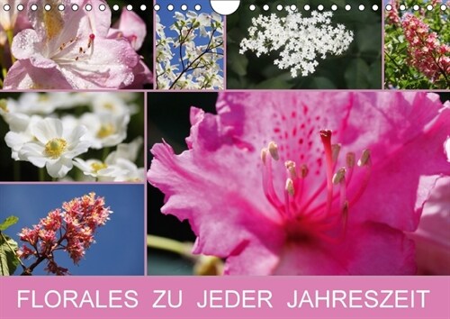 Florales zu jeder Jahreszeit (Wandkalender 2018 DIN A4 quer) (Calendar)
