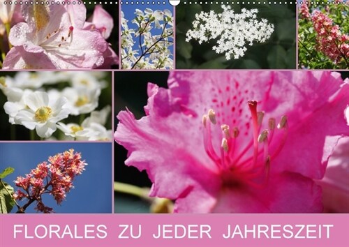 Florales zu jeder Jahreszeit (Wandkalender 2018 DIN A2 quer) (Calendar)
