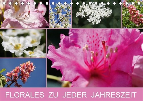 Florales zu jeder Jahreszeit (Tischkalender 2018 DIN A5 quer) (Calendar)
