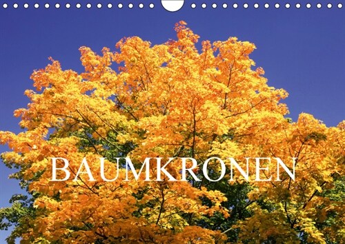 Baumkronen (Wandkalender 2018 DIN A4 quer) Dieser erfolgreiche Kalender wurde dieses Jahr mit gleichen Bildern und aktualisiertem Kalendarium wiederve (Calendar)