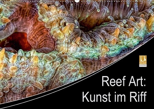 Reef Art - Kunst im Riff (Wandkalender 2018 DIN A2 quer) (Calendar)