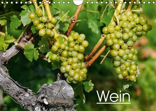 Wein (Wandkalender 2018 DIN A4 quer) (Calendar)