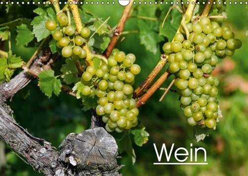 Wein (Wandkalender 2018 DIN A3 quer) (Calendar)