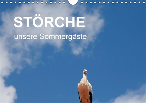 Storche - unsere Sommergaste (Wandkalender 2018 DIN A4 quer) (Calendar)