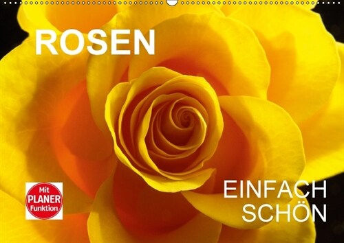 Rosen einfach schonCH-Version (Wandkalender 2018 DIN A2 quer) (Calendar)