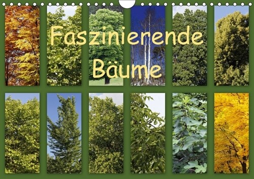 Faszinierende Baume (Wandkalender 2018 DIN A4 quer) (Calendar)