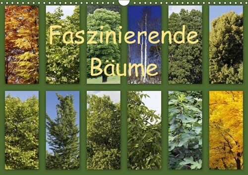 Faszinierende Baume (Wandkalender 2018 DIN A3 quer) (Calendar)