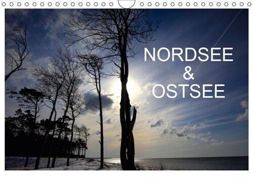 Nordsee & Ostsee / CH-Version (Wandkalender 2019 DIN A4 quer) (Calendar)