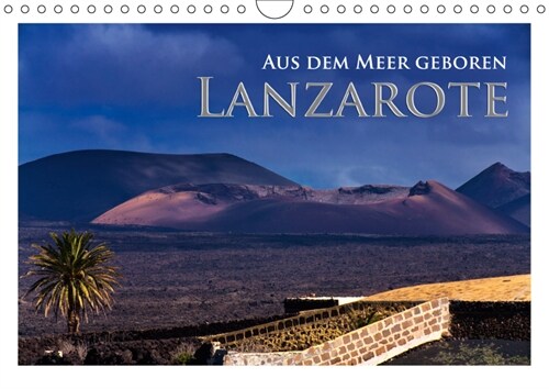 Aus dem Meer geboren - Lanzarote (Wandkalender 2019 DIN A4 quer) (Calendar)