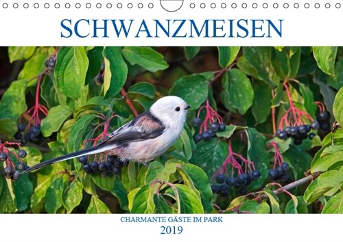 Schwanzmeisen (Wandkalender 2019 DIN A4 quer) (Calendar)