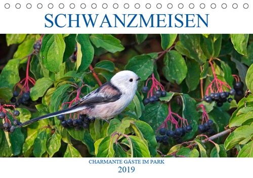 Schwanzmeisen (Tischkalender 2019 DIN A5 quer) (Calendar)