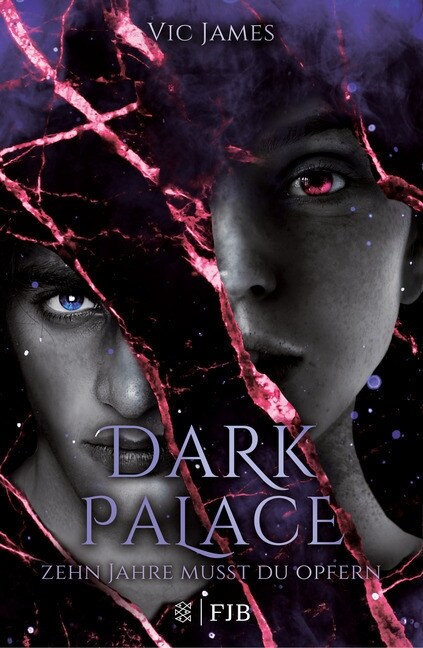 Dark Palace - Zehn Jahre musst du opfern. Bd.1 (Hardcover)