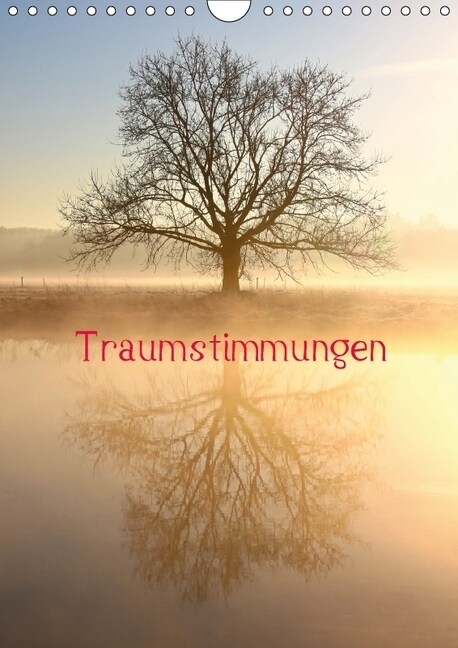 Traumstimmungen (Wandkalender 2018 DIN A4 hoch) (Calendar)