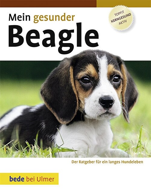 Mein gesunder Beagle (Hardcover)