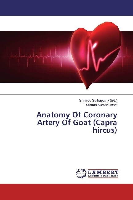 Anatomy Of Coronary Artery Of Goat (Capra hircus) (Paperback)