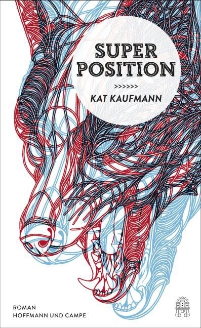 Superposition (Hardcover)