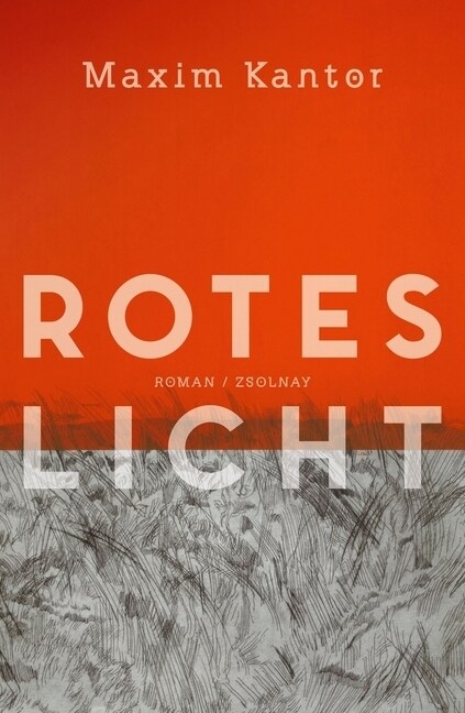 Rotes Licht (Hardcover)