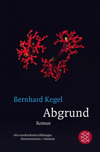 Abgrund (Paperback)