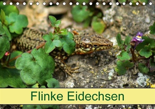 Flinke Eidechsen (Tischkalender 2018 DIN A5 quer) (Calendar)