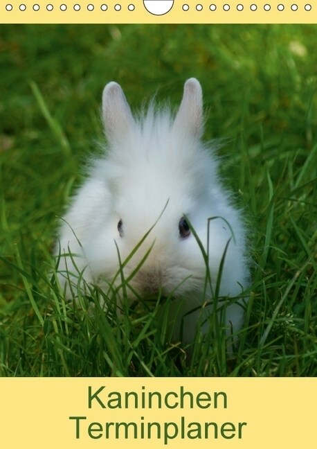 Kaninchen Terminplaner (Wandkalender 2018 DIN A4 hoch) Dieser erfolgreiche Kalender wurde dieses Jahr mit gleichen Bildern und aktualisiertem Kalendar (Calendar)