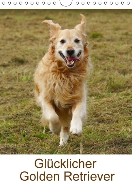 Glucklicher Golden Retriever (Wandkalender 2018 DIN A4 hoch) Dieser erfolgreiche Kalender wurde dieses Jahr mit gleichen Bildern und aktualisiertem Ka (Calendar)