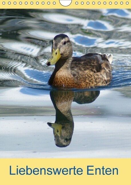 Liebenswerte Enten (Wandkalender 2018 DIN A4 hoch) (Calendar)