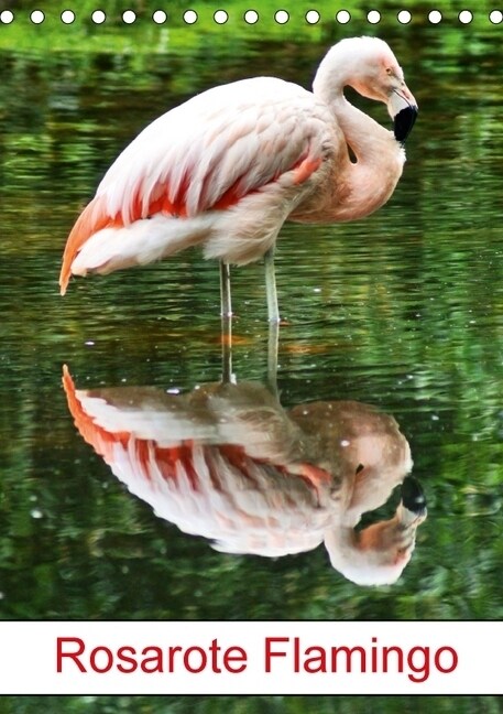 Rosarote Flamingo (Tischkalender 2018 DIN A5 hoch) (Calendar)