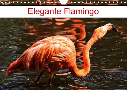 Elegante Flamingo (Wandkalender 2018 DIN A4 quer) (Calendar)