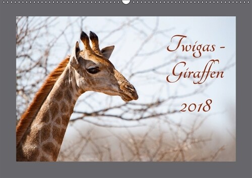 Twigas - Giraffen (Wandkalender 2018 DIN A2 quer) (Calendar)
