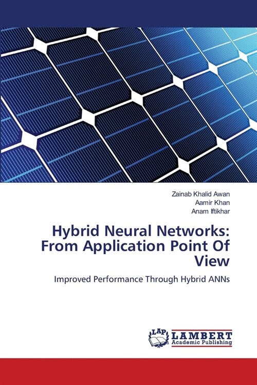 Hybrid Neural Networks: From Application Point Of View (Paperback)