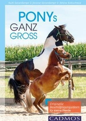 Ponys ganz groß (Paperback)