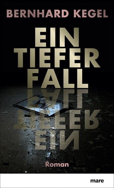 Ein tiefer Fall (Hardcover)