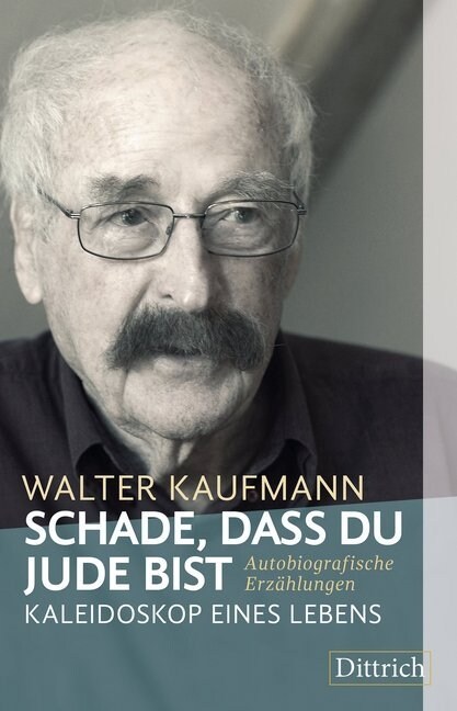 Schade, dass du Jude bist (Paperback)