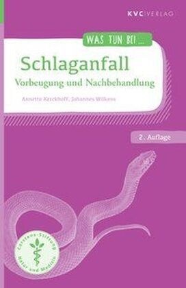 Schlaganfall (Paperback)