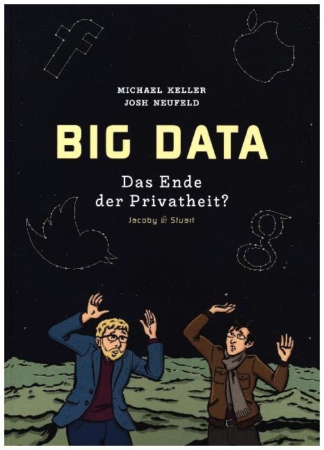 Big Data (Paperback)