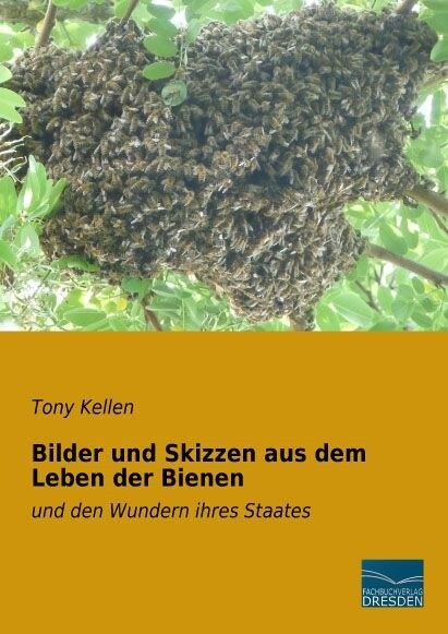 Bilder und Skizzen aus dem Leben der Bienen (Paperback)