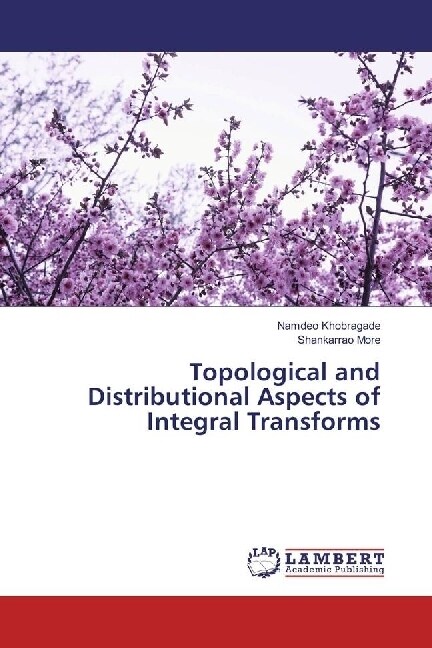 Topological and Distributional Aspects of Integral Transforms (Paperback)