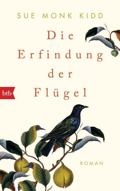 Die Erfindung der Flugel (Paperback)